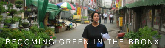 Roundtable Discussion: Becoming Green in the Bronx