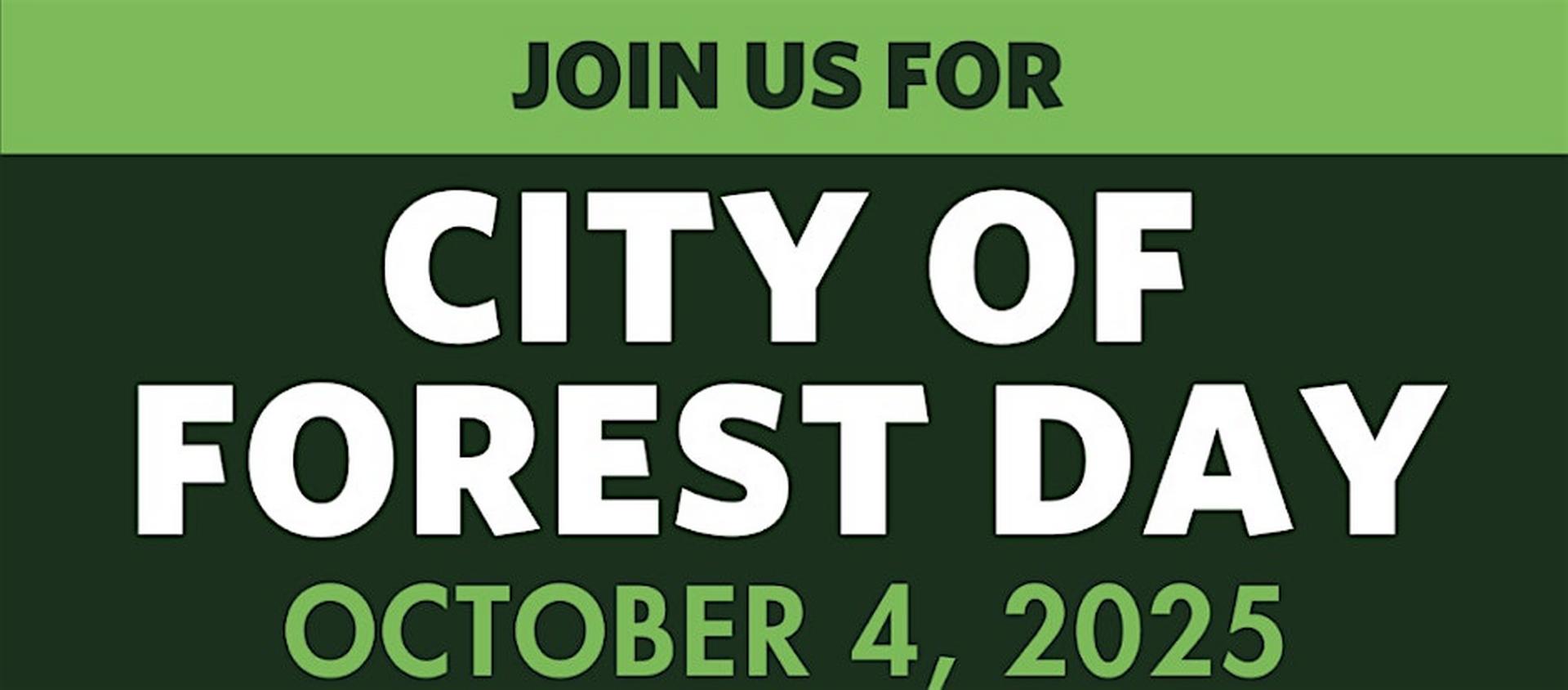 Art in the Forest: A Day of Trees, Prints & Stories