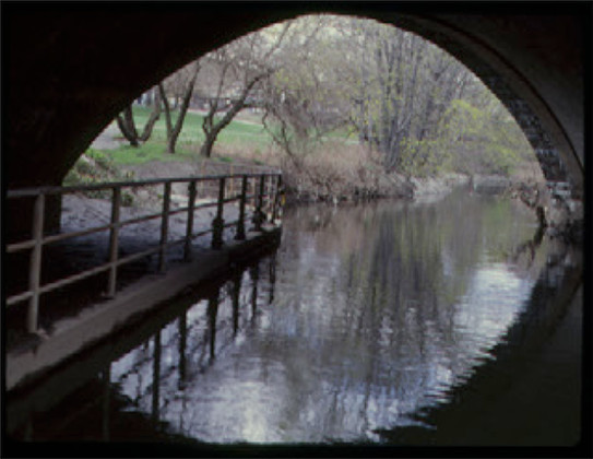 Underwater New York: The Bronx River