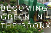 Roundtable Discussion: Becoming Green in the Bronx