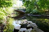 The Bronx River Film Diaries